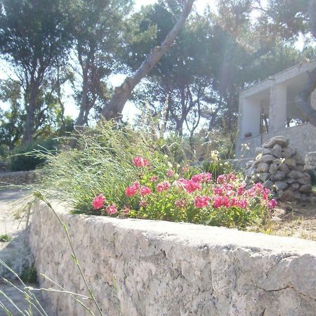 Villa Aquarium Gagliano del Capo Buitenkant foto