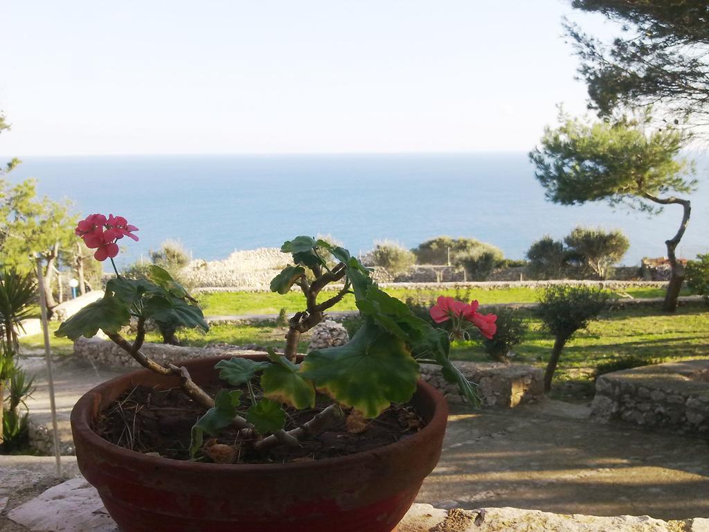 Villa Aquarium Gagliano del Capo Buitenkant foto