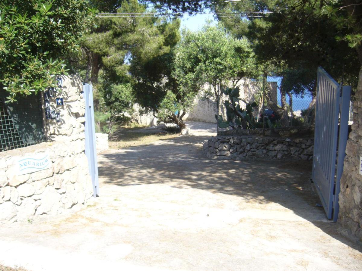 Villa Aquarium Gagliano del Capo Buitenkant foto